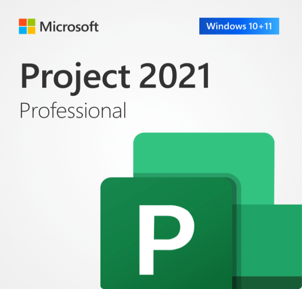 Project 2021 Professional