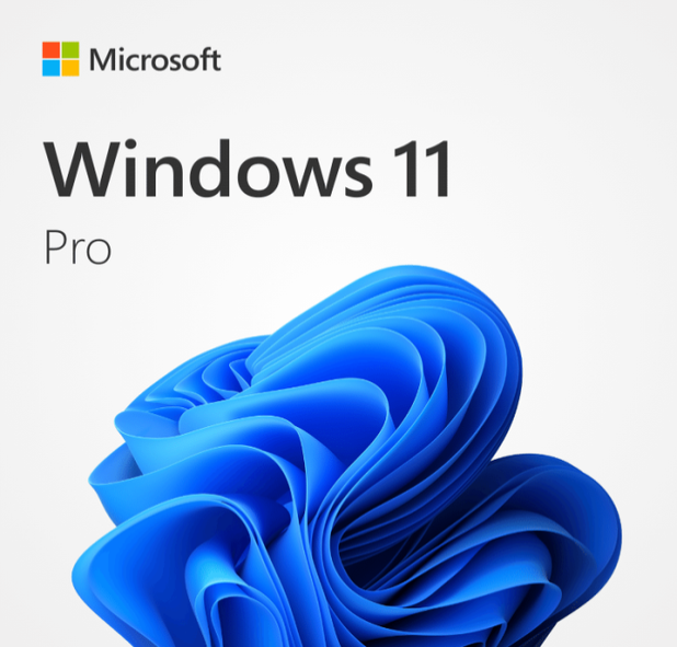 Windows 11 Professional